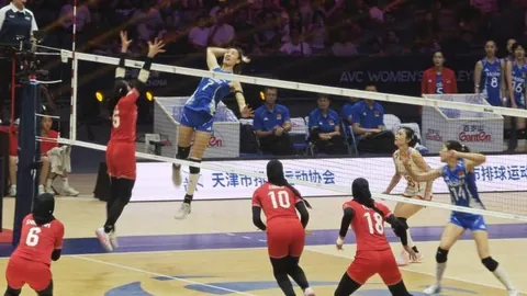 上海出租车网约车严打行动升级：假冒车牌风险，合规指南发布